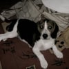 Photo de Lucky