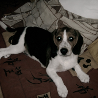 Photo de profil de Lucky
