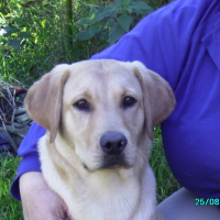 Photo de profil de Caramel
