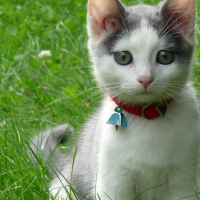 Photo de profil de Enora
