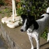 Photo de Urka