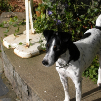 Photo de profil de Urka