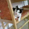 Photo de Filou