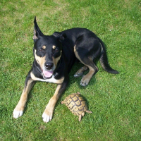 Photo de profil de Rocky