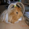 Photo de Karamel