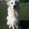 Photo de Djuna