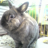 Photo de profil de Vicky