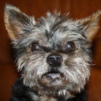 Photo de profil de Nicky