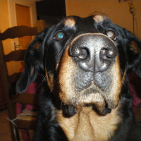 Photo de profil de Valko