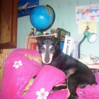 Photo de profil de Maya