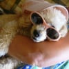 Photo de Pimkie