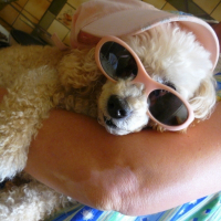 Photo de profil de Pimkie