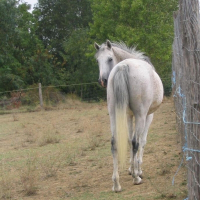 Photo de profil de Arabella