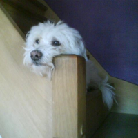 Photo de profil de Robbyn