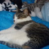 Photo de Zazie