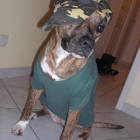 Photo de profil de Babsy