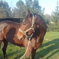 Photo de profil de Pushkin