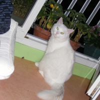 Photo de profil de Bibi