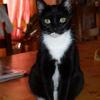 Photo de Asia