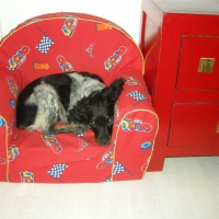 Photo de profil de Darling