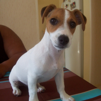 Photo de profil de Bud