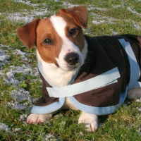 Photo de profil de Bao