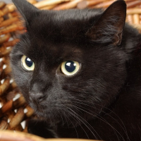 Photo de profil de Aeden