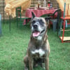 Photo de Spike