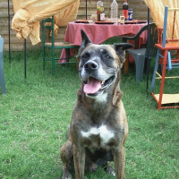 Photo de profil de Spike