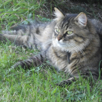 Photo de profil de Bretzel