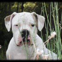 Photo de profil de Erwine