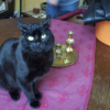 Photo de Mimie