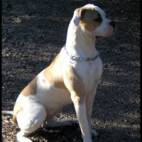 Photo de profil de Cherkane