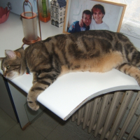 Photo de profil de Lylou
