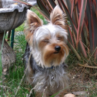 Photo de profil de Djouly
