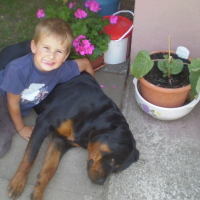 Photo de profil de Daysi
