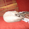 Photo de Yuki