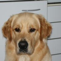 Photo de profil de Dan du domaine du relais