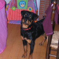 Photo de profil de Chucky