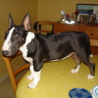 Photo de profil de Lova