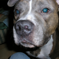 Photo de profil de Chelsea
