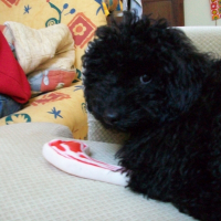 Photo de profil de Dick