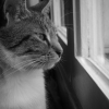Photo de Mimine