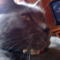 Photo de profil de Charly