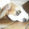 Photo de Eleven, Saint-Bernard