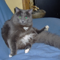 Photo de profil de Zébulon