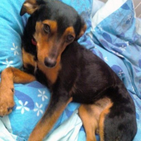 Photo de profil de Cheyenne