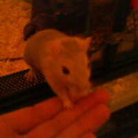 Photo de profil de Lola