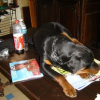 Photo de Bragi
