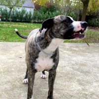 Photo de profil de Conrad